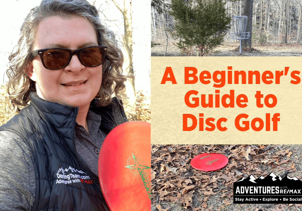 guide to disc golf blog